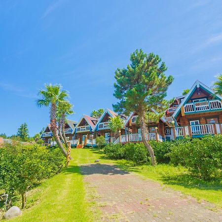 Jungmun Log Pension & Resort Seogwipo Dış mekan fotoğraf