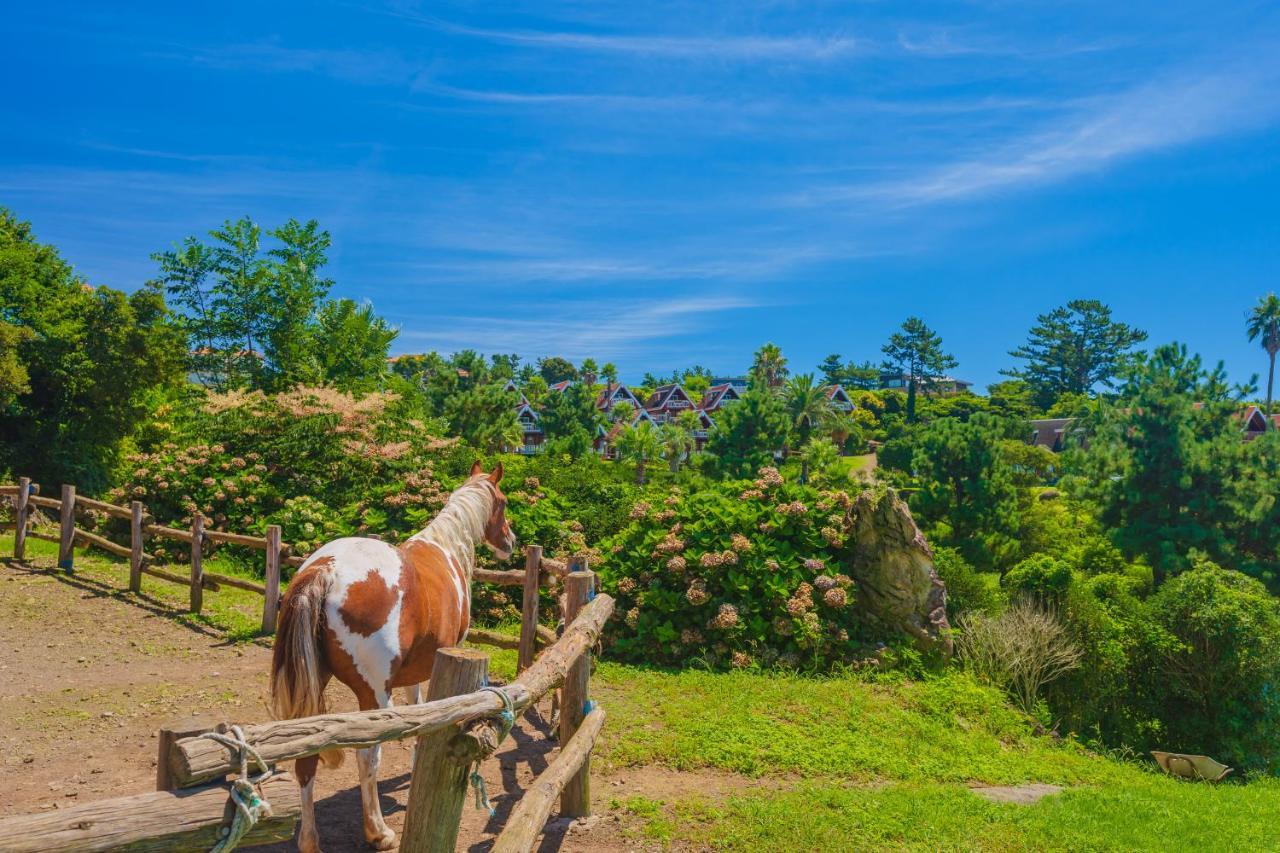 Jungmun Log Pension & Resort Seogwipo Dış mekan fotoğraf