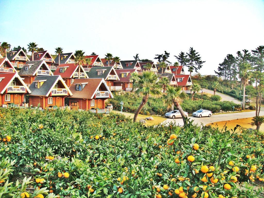 Jungmun Log Pension & Resort Seogwipo Dış mekan fotoğraf