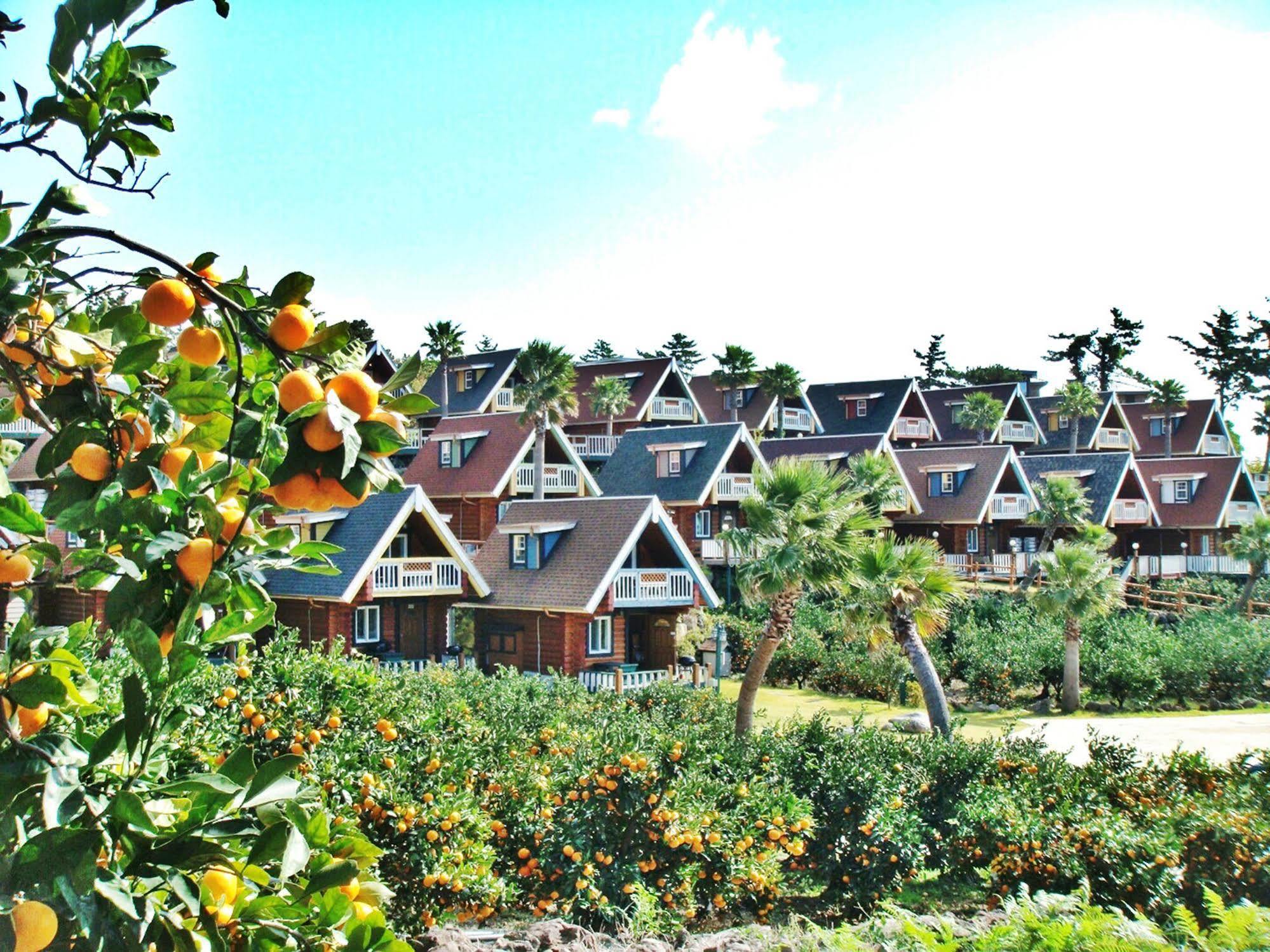 Jungmun Log Pension & Resort Seogwipo Dış mekan fotoğraf